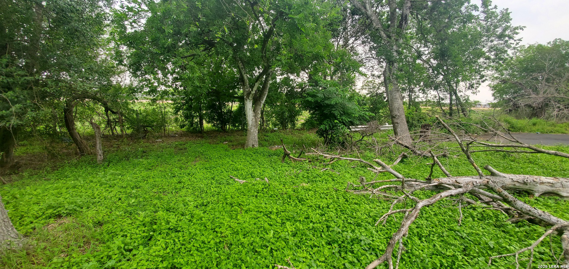 354 Bundy San Antonio TX 78220