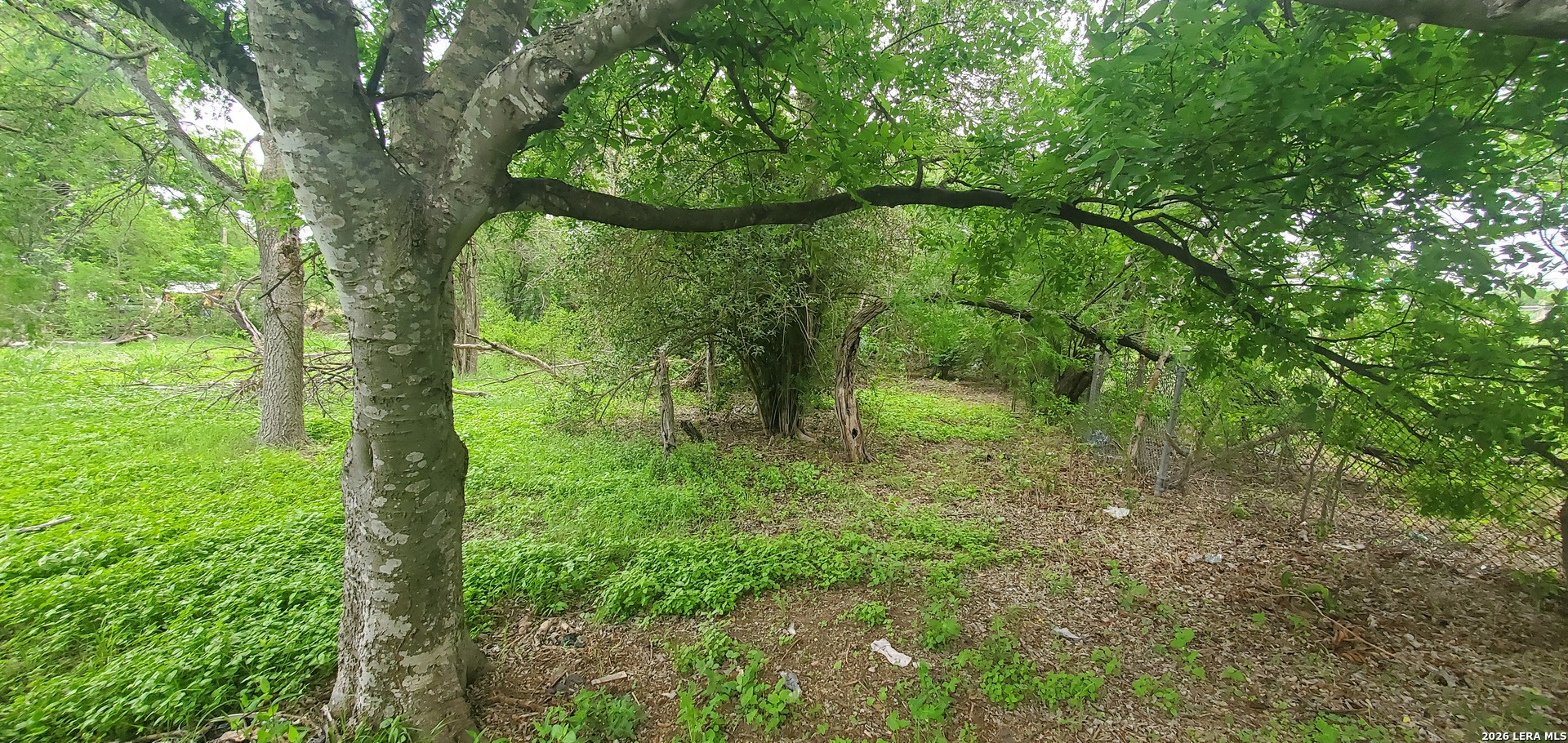 354 Bundy San Antonio TX 78220