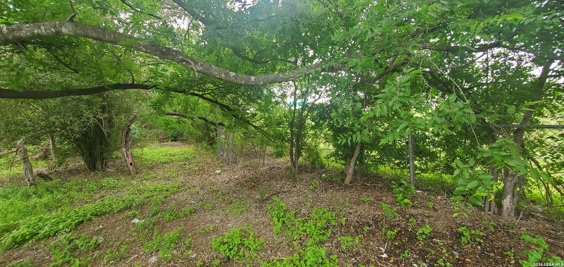 354 Bundy San Antonio TX 78220