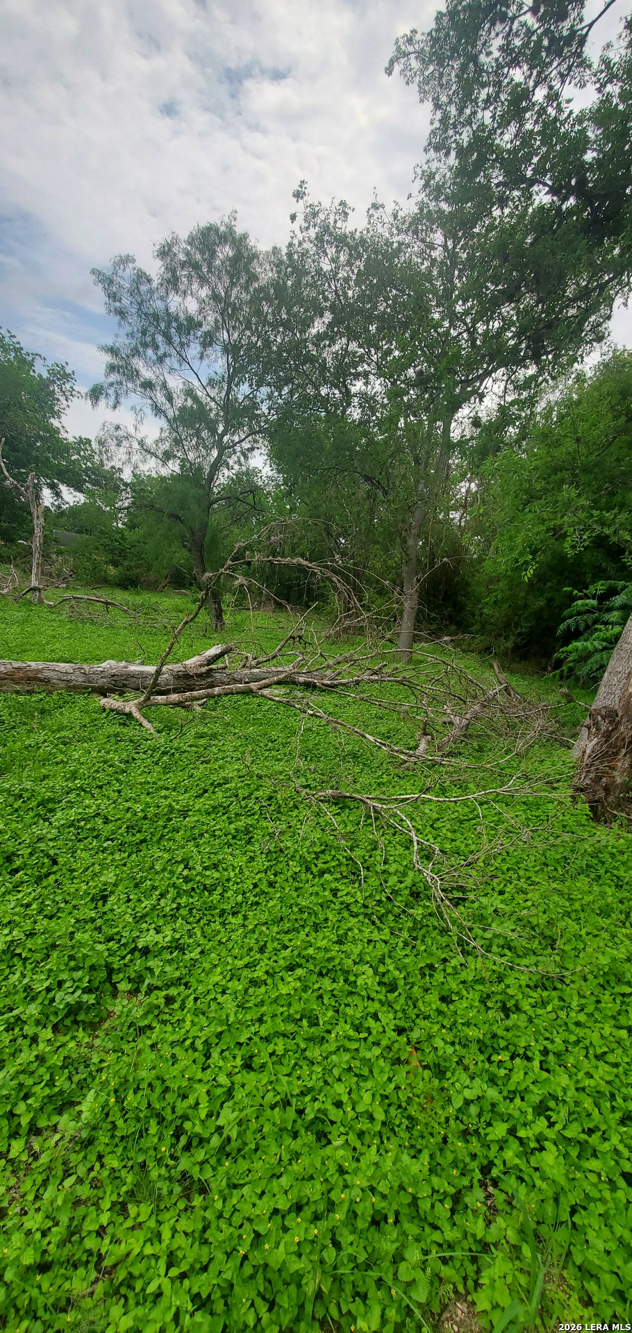 354 Bundy San Antonio TX 78220
