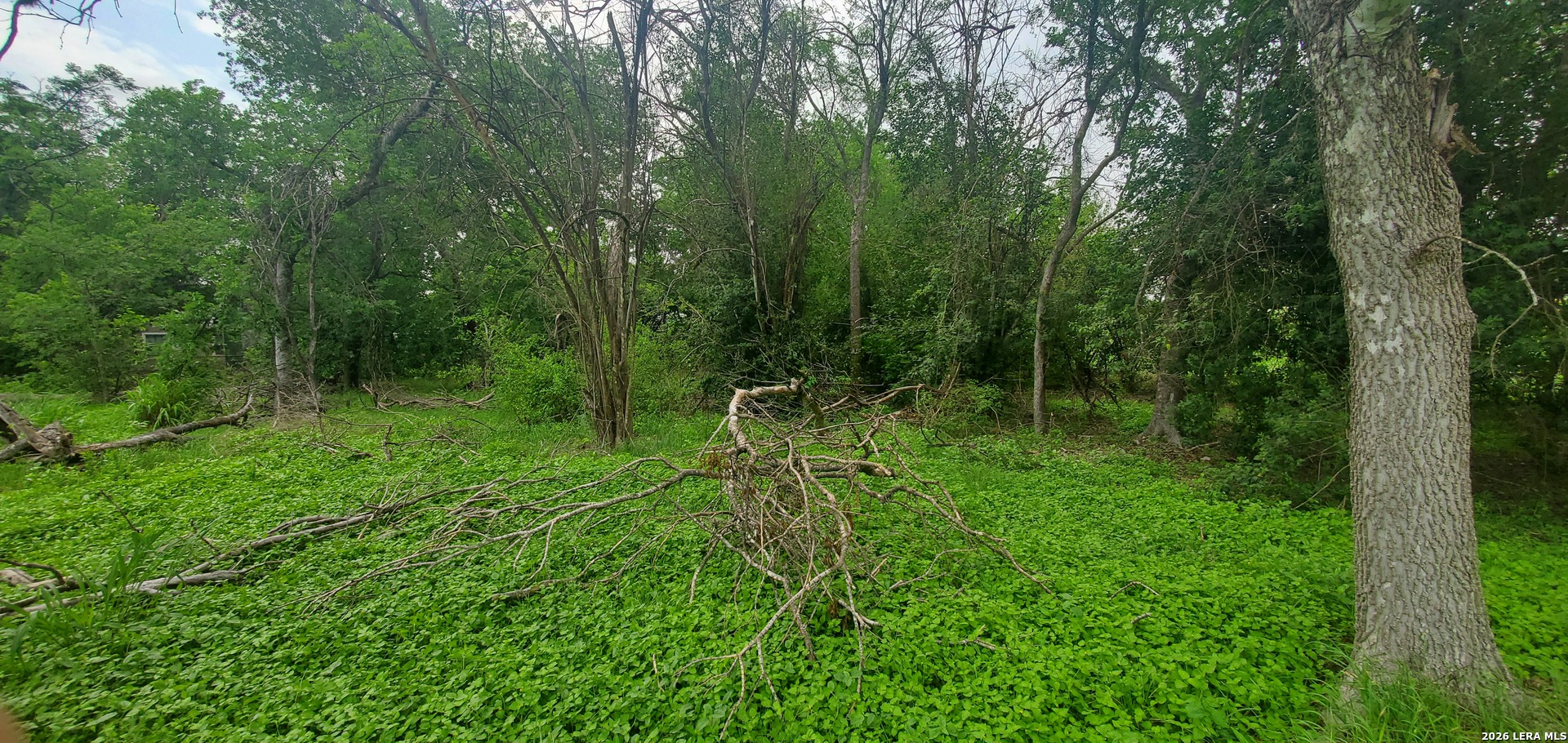354 Bundy San Antonio TX 78220