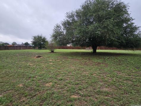 50 Rock Dove Drive Lytle TX 78052