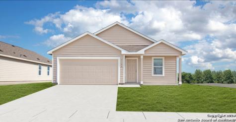 31810 Cherry Island Bulverde TX 78163