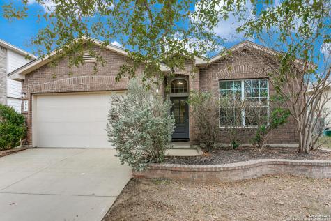 519 Red Quill Nest San Antonio TX 78253