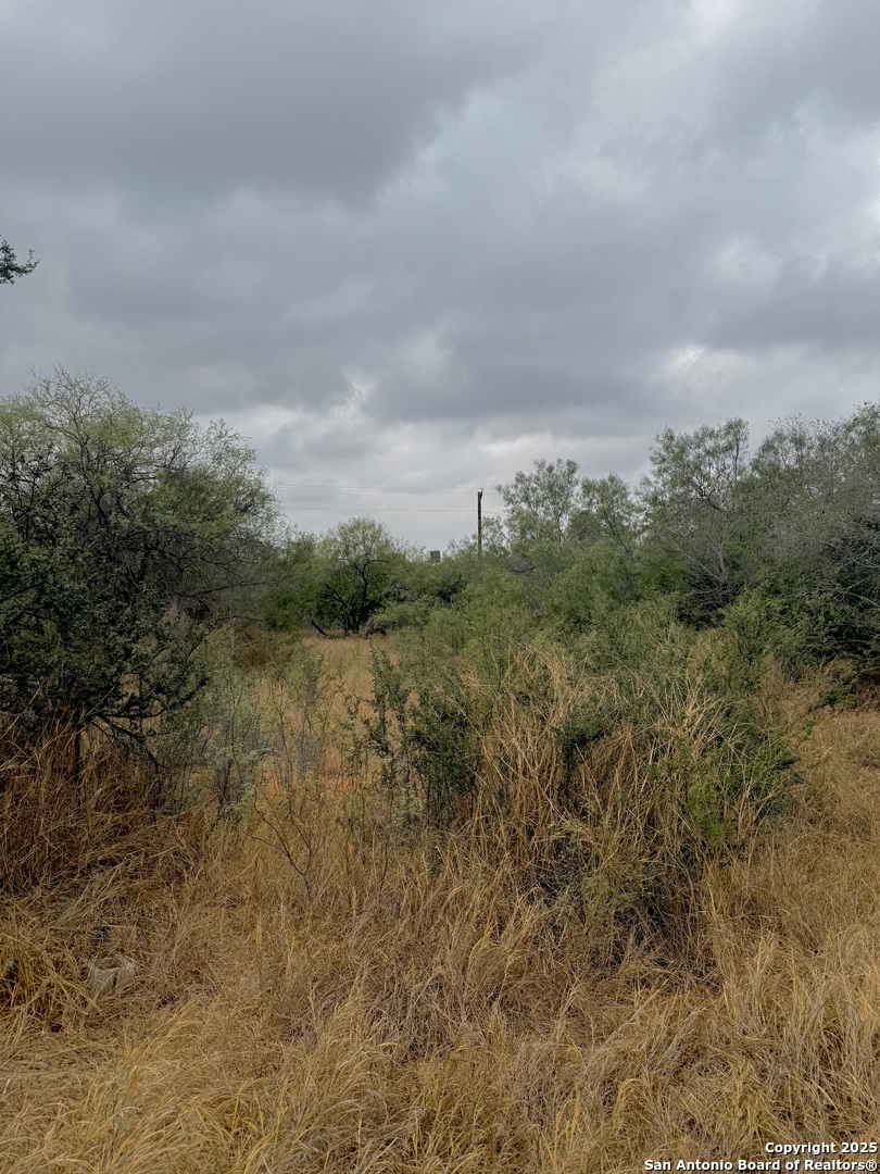 103 Oleander Cotulla TX 78014