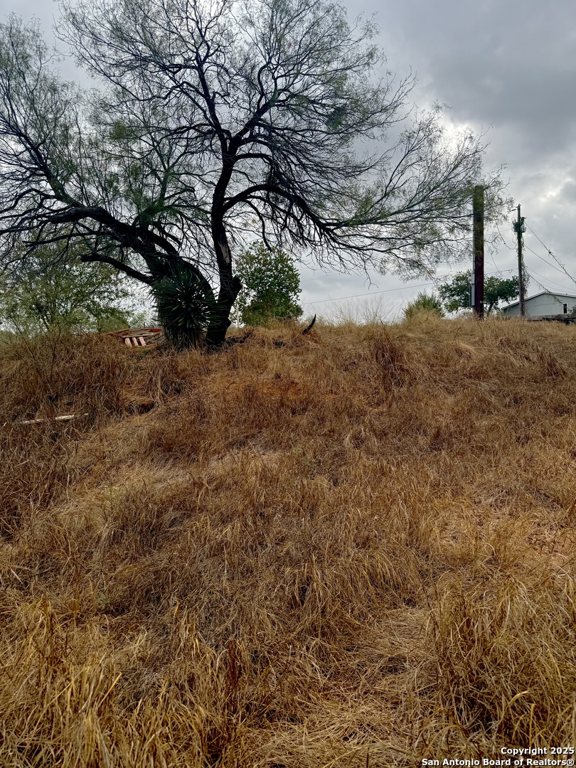 103 Oleander Cotulla TX 78014
