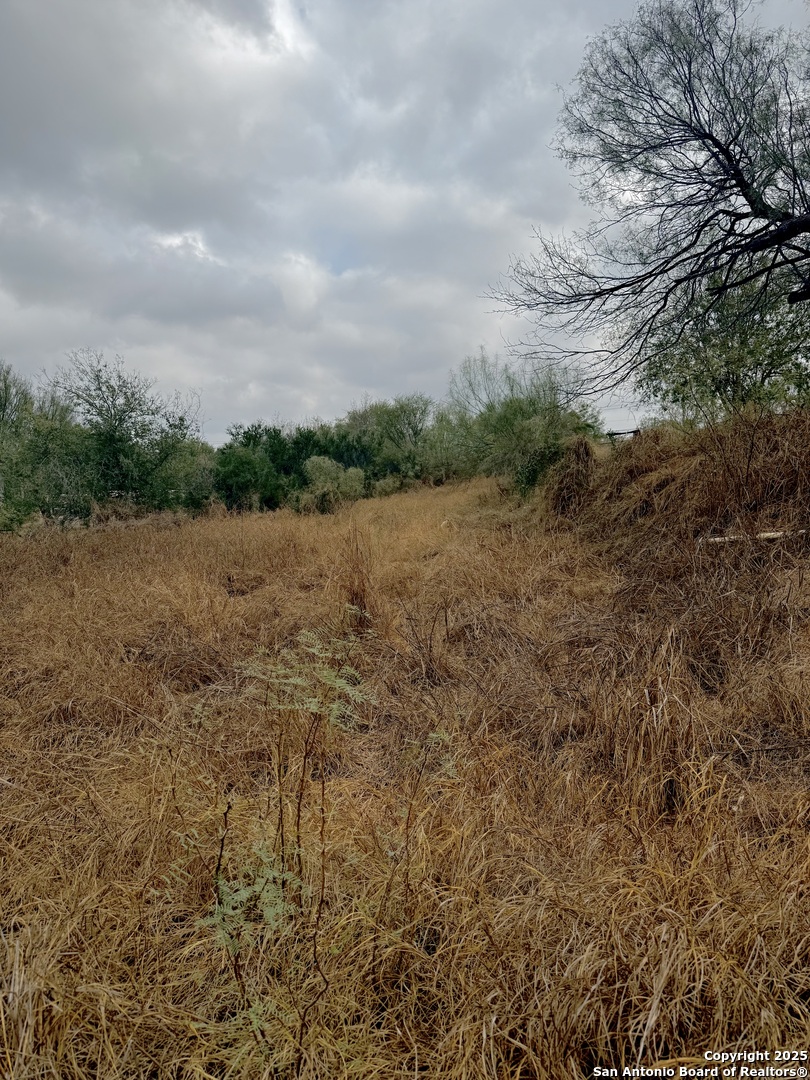 103 Oleander Cotulla TX 78014
