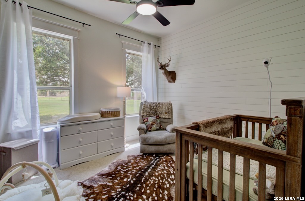 1007 Indigo Run Bulverde TX 78163