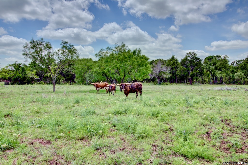 1007 Indigo Run Bulverde TX 78163