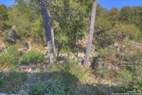 925 & 913 Glenn Drive Canyon Lake TX 78133