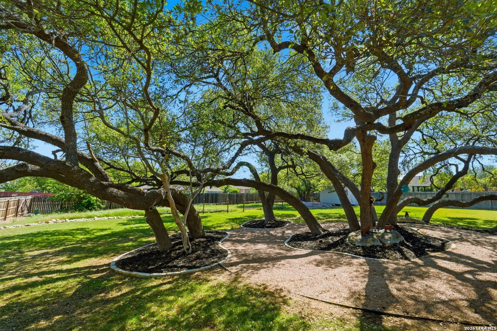 1107 Saddle Horse San Antonio TX 78260
