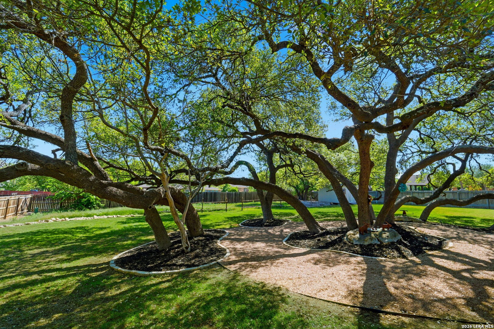 1107 Saddle Horse San Antonio TX 78260