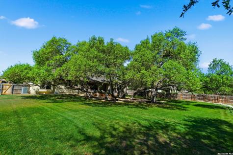 1107 Saddle Horse San Antonio TX 78260