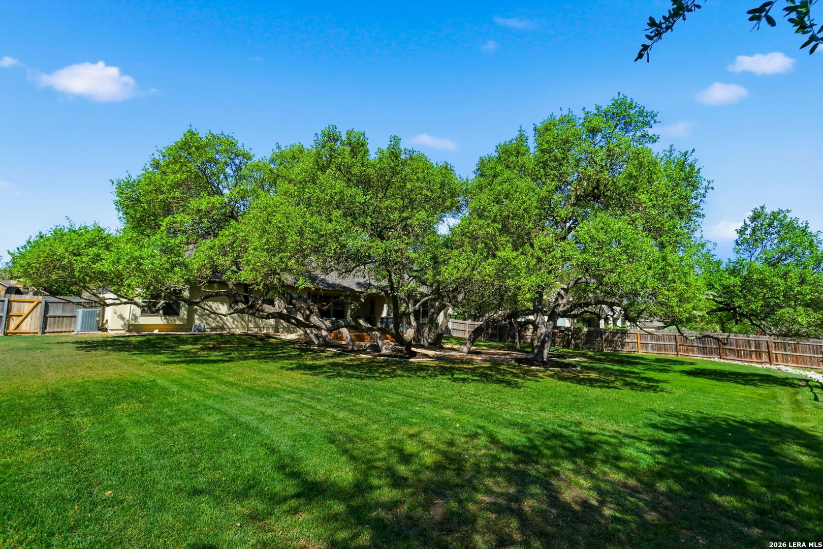 1107 Saddle Horse San Antonio TX 78260