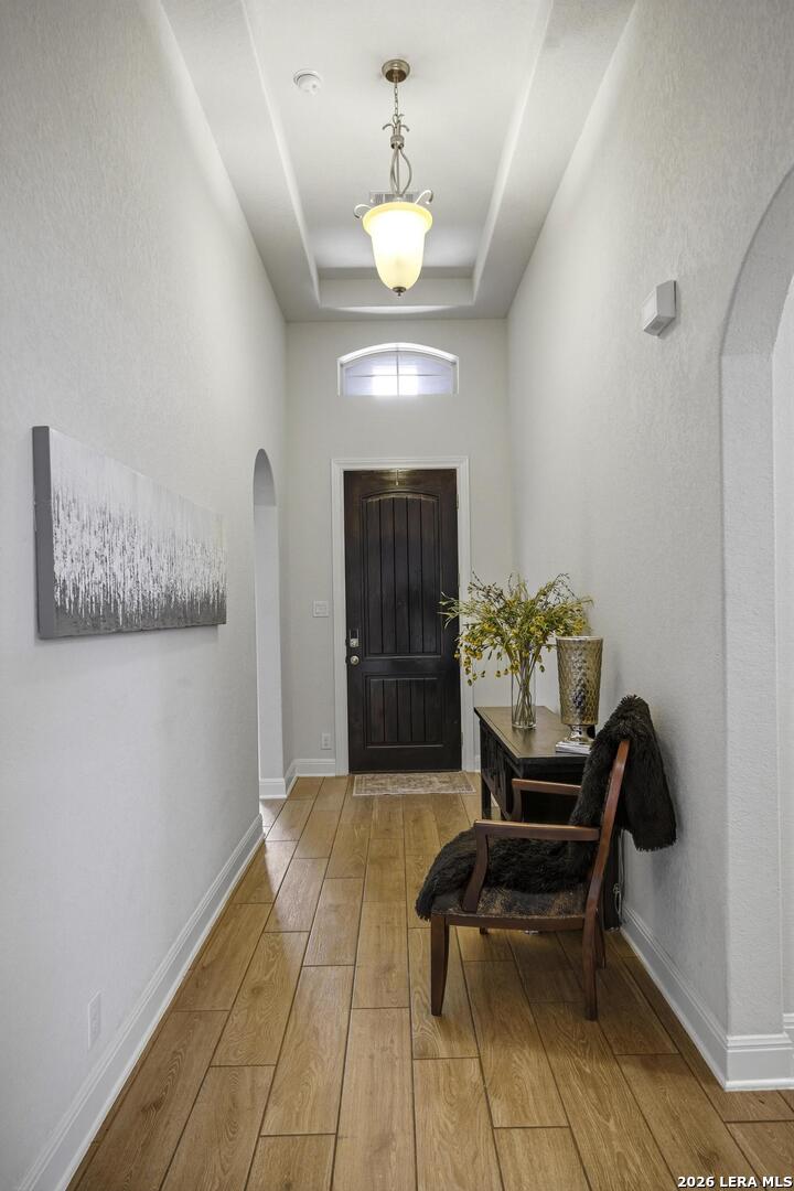 8223 Scarlet Gaura Boerne TX 78015