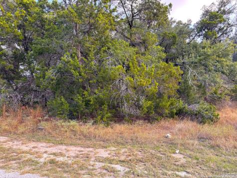 762 & 758 Firefly Drive Canyon Lake TX 78133