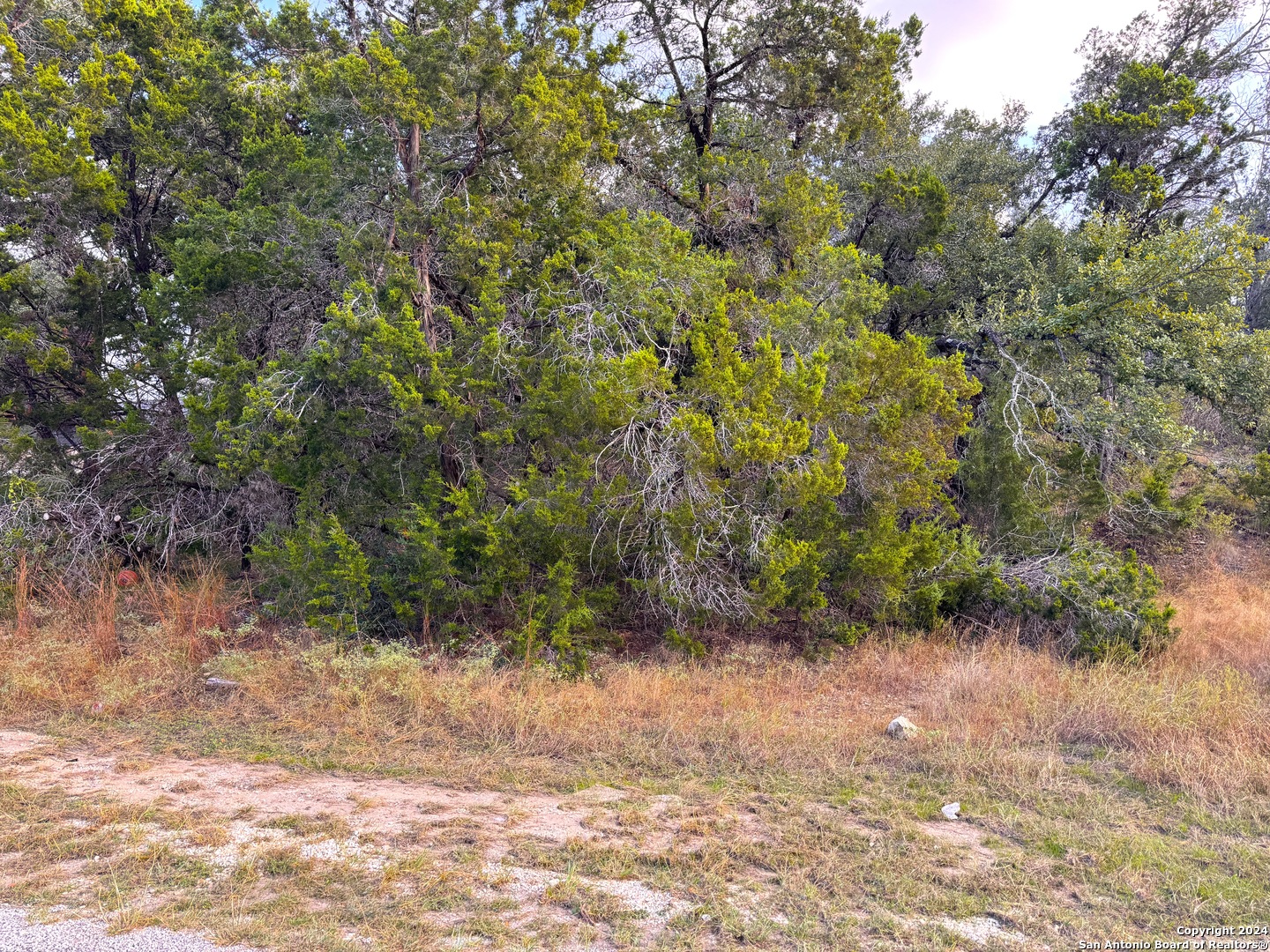 762 & 758 Firefly Drive Canyon Lake TX 78133