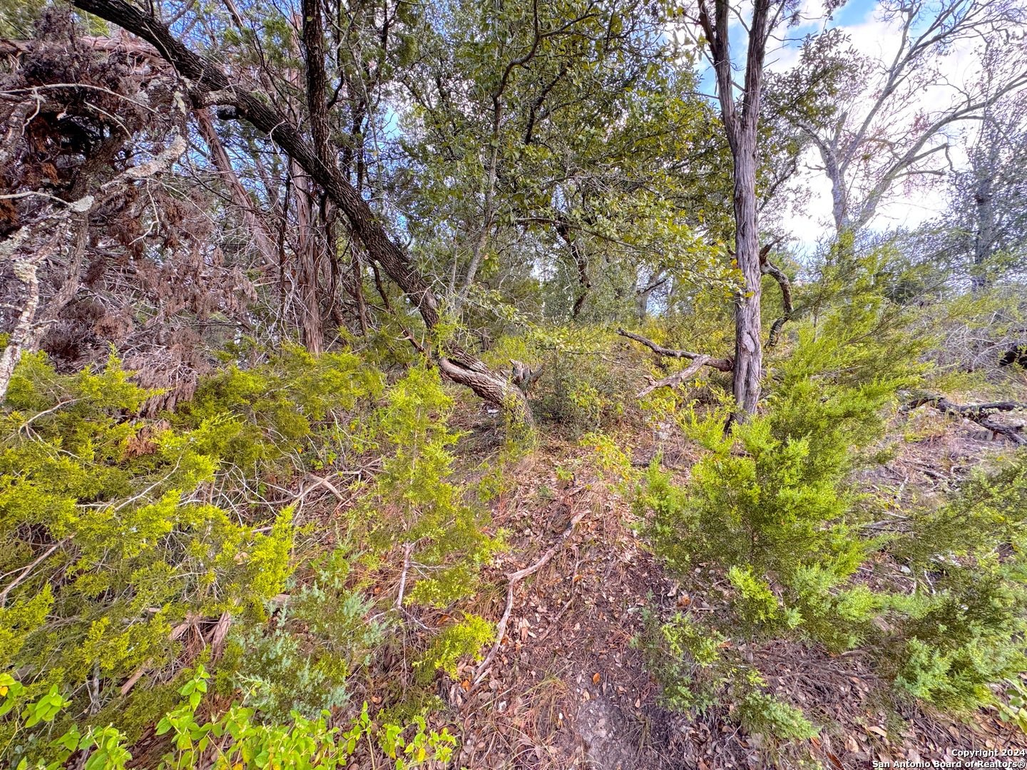 762 & 758 Firefly Drive Canyon Lake TX 78133