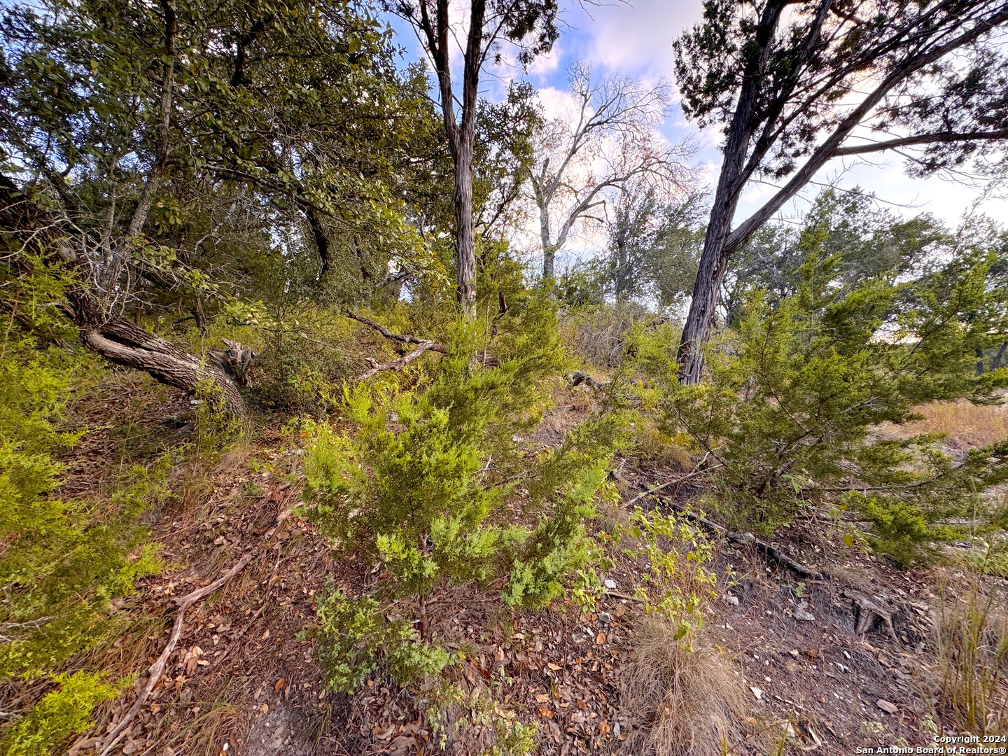 762 & 758 Firefly Drive Canyon Lake TX 78133