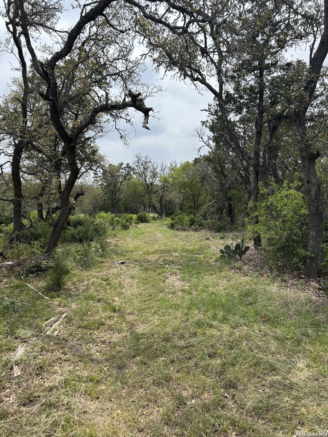 Tbd County Road 2471 Hondo TX 78861