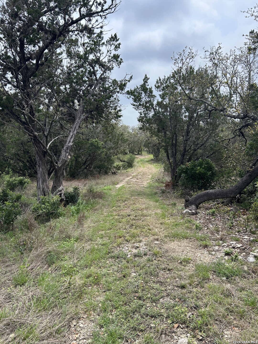 Tbd County Road 2471 Hondo TX 78861