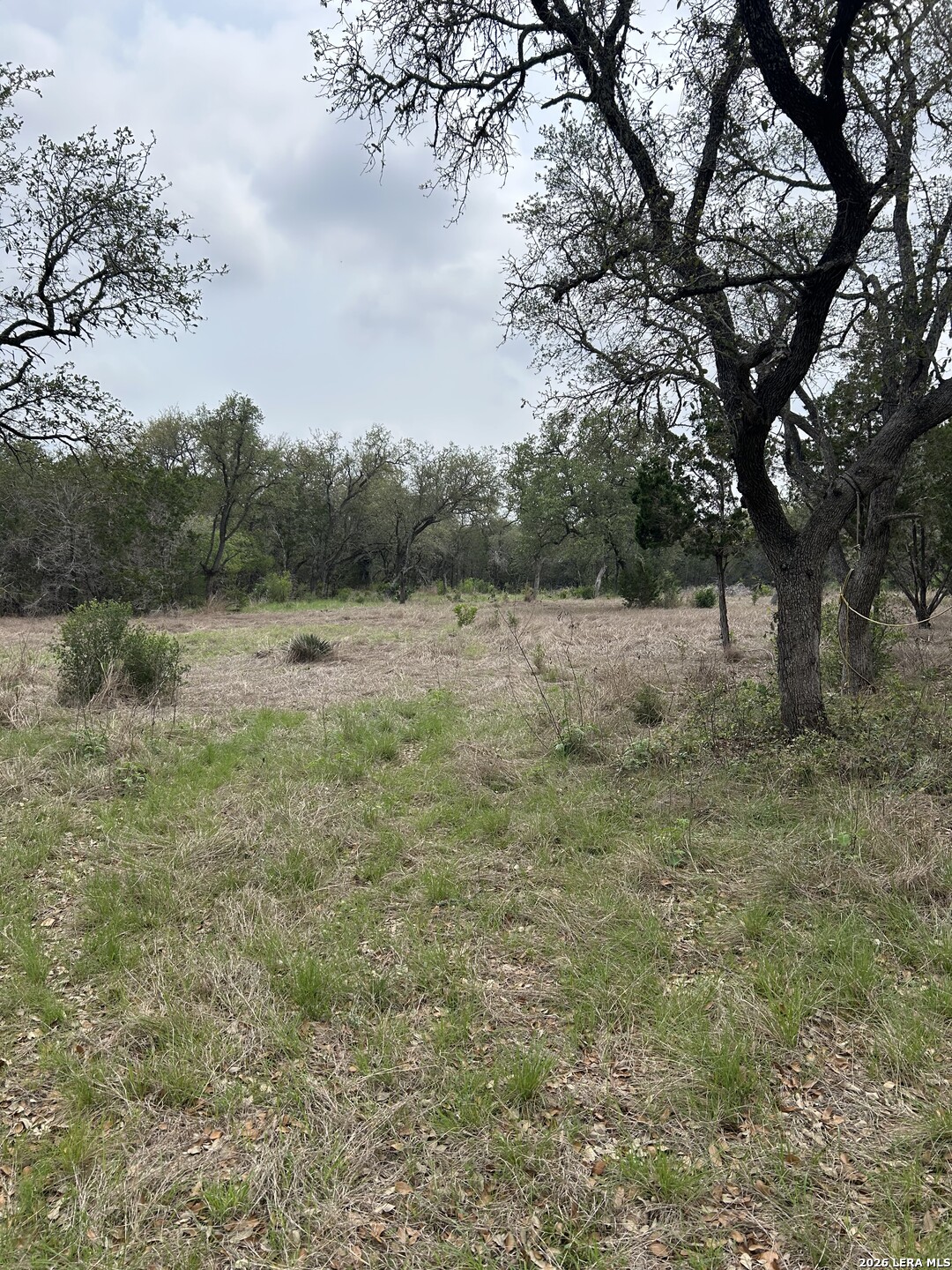 Tbd County Road 2471 Hondo TX 78861