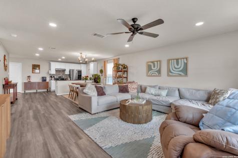 2471 Pechora Pipit New Braunfels TX 78130