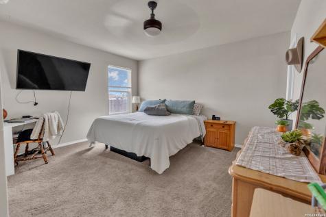 2471 Pechora Pipit New Braunfels TX 78130