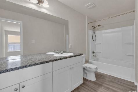2471 Pechora Pipit New Braunfels TX 78130