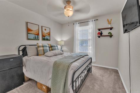 2471 Pechora Pipit New Braunfels TX 78130