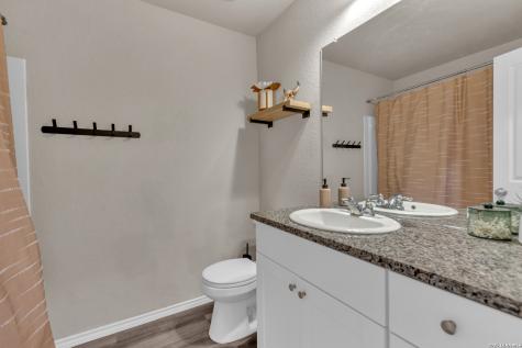 2471 Pechora Pipit New Braunfels TX 78130