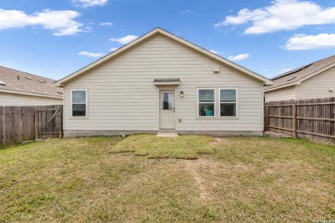 2471 Pechora Pipit New Braunfels TX 78130