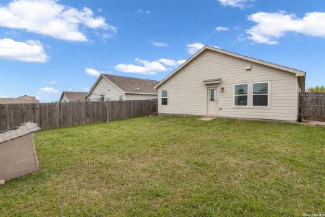 2471 Pechora Pipit New Braunfels TX 78130