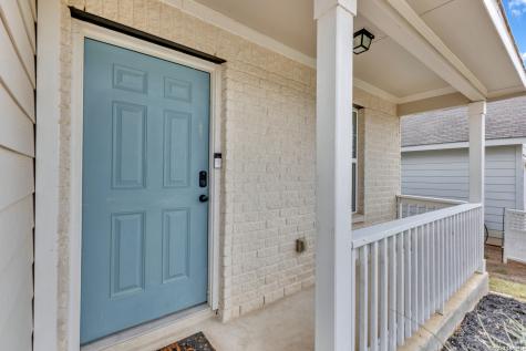 2471 Pechora Pipit New Braunfels TX 78130