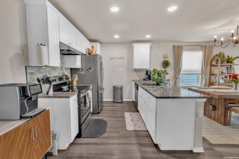 2471 Pechora Pipit New Braunfels TX 78130