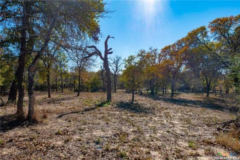 12851 Fm 1117 Seguin TX 78155