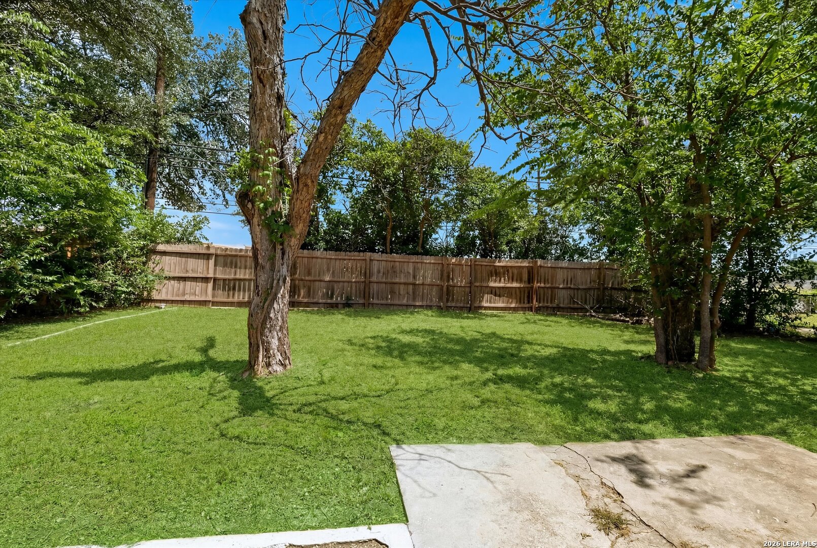 4359 Wild Oak Drive San Antonio TX 78219