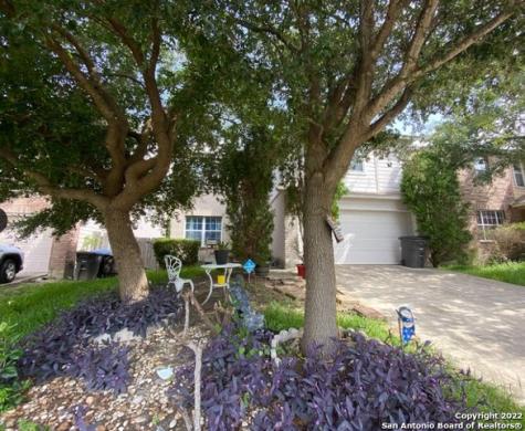 231 Hallie Cove San Antonio TX 78227