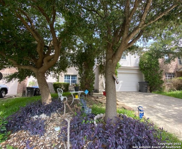 231 Hallie Cove San Antonio TX 78227