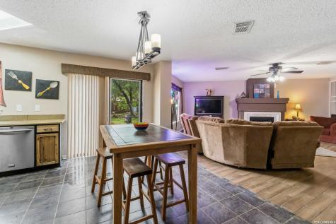 10903 Bristle Oak Drive San Antonio TX 78249