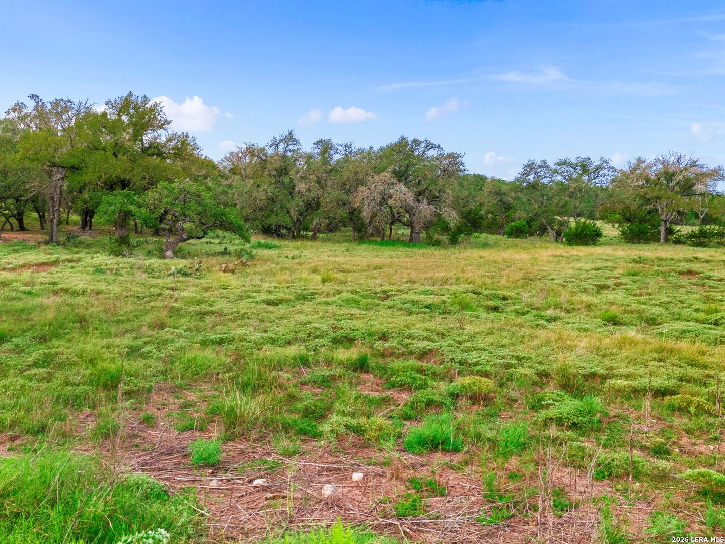 339 Axis Circle Fredericksburg TX 78624
