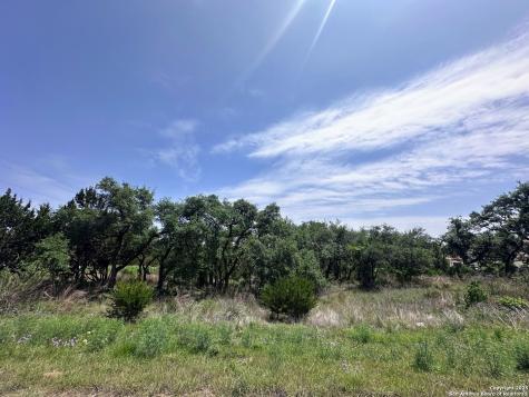 154 Vista View Place Spring Branch TX 78070