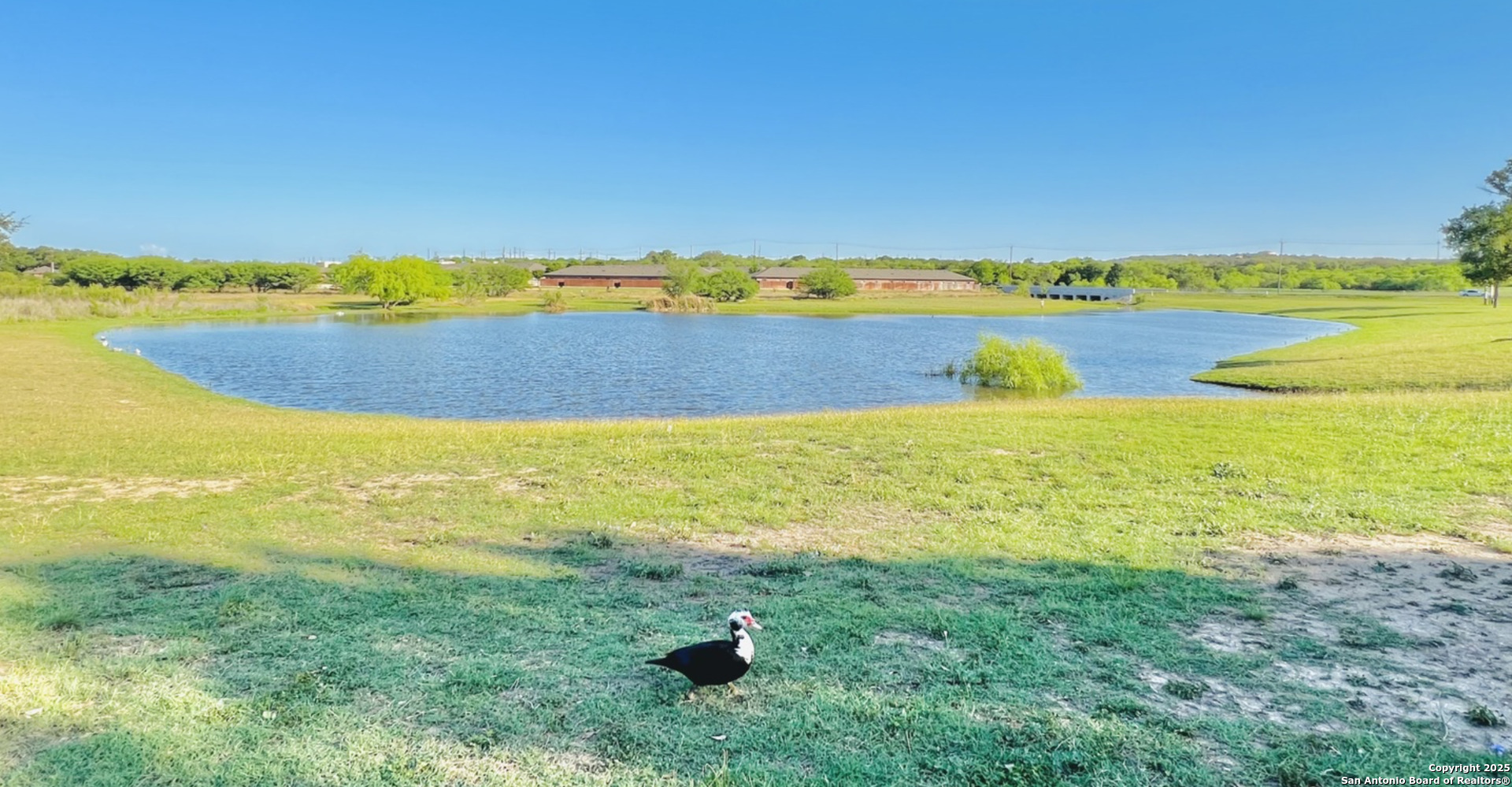 12447 Stillwater Creek San Antonio TX 78254