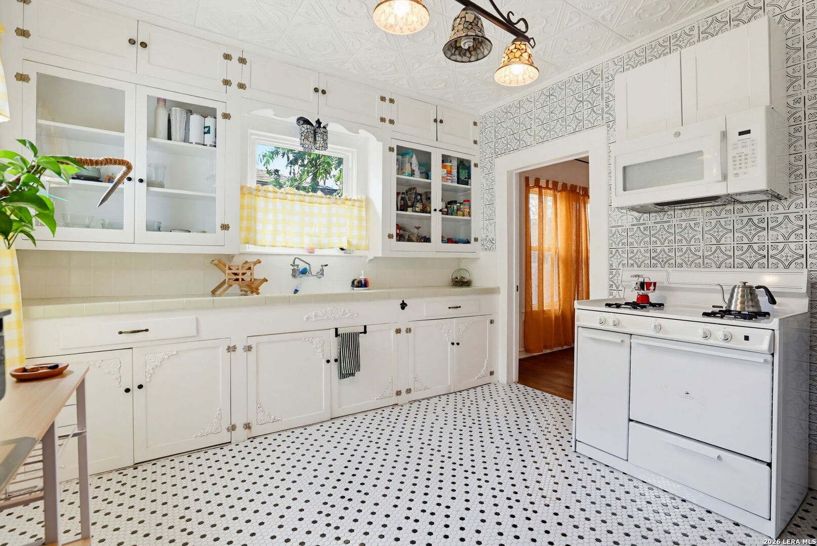 239 E Ligustrum San Antonio TX 78228