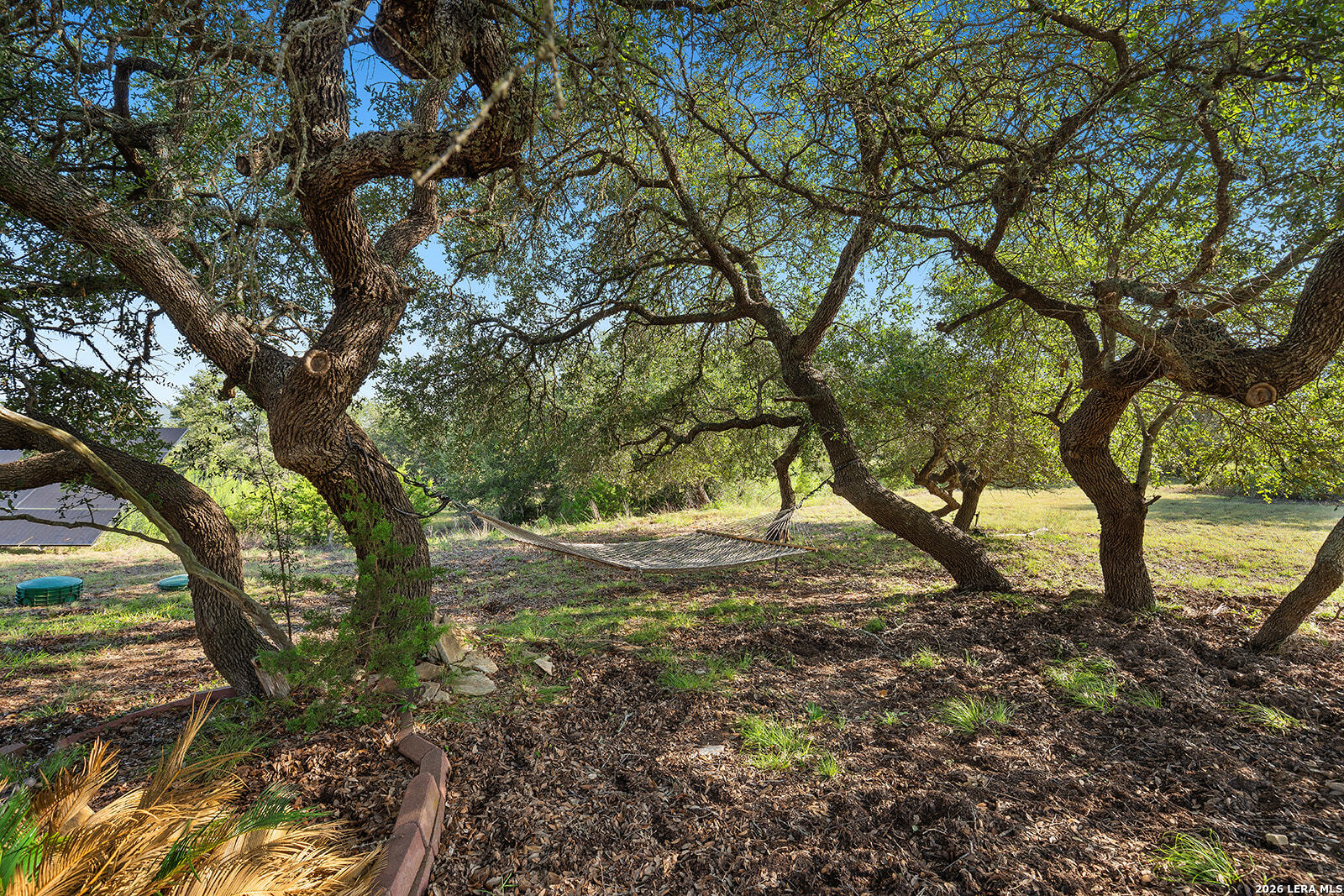5913 Temerity Bulverde TX 78163