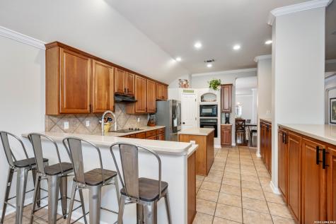 23607 Alpine Ridge San Antonio TX 78258