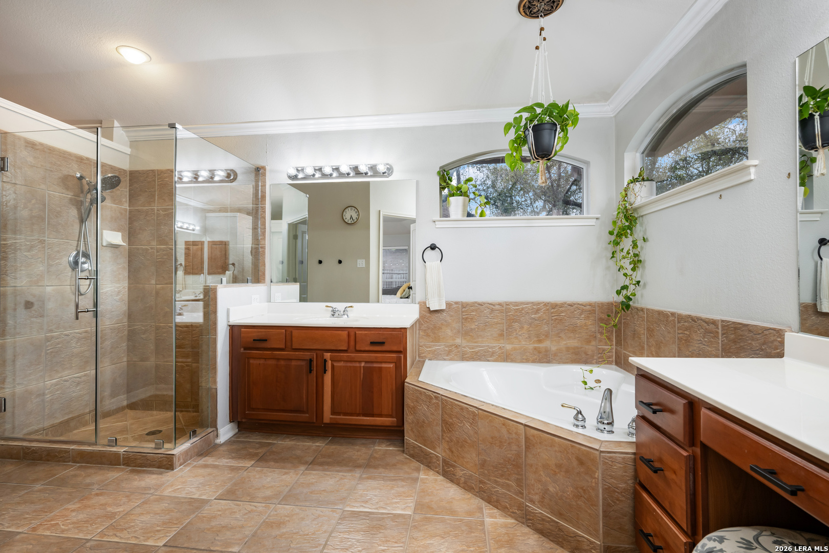 23607 Alpine Ridge San Antonio TX 78258