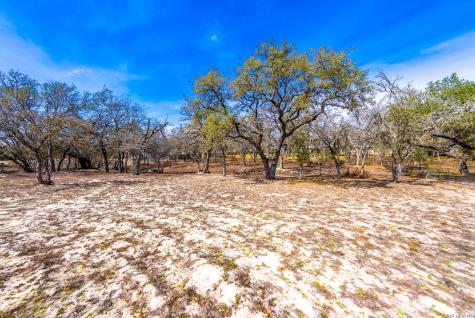 248 Hunters Dawn Drive La Vernia TX 78121