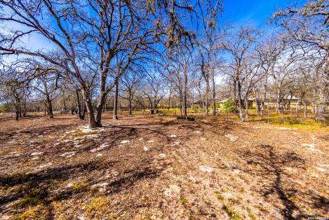 248 Hunters Dawn Drive La Vernia TX 78121