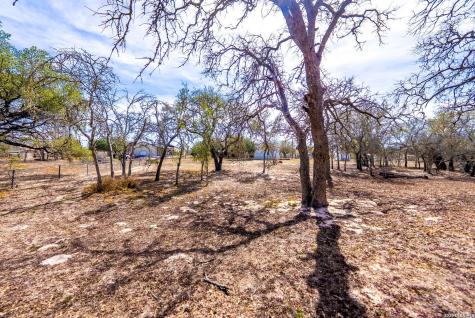 248 Hunters Dawn Drive La Vernia TX 78121